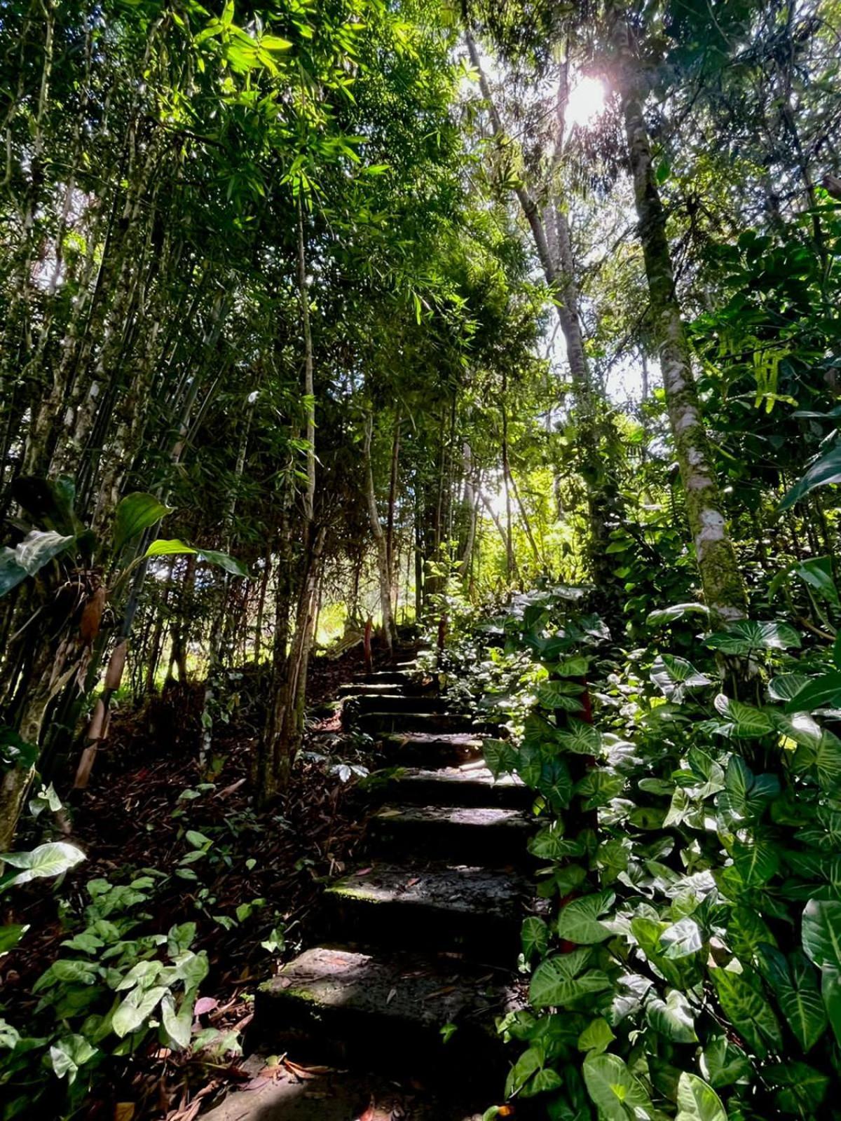 Refugio De Orquideas Villa Oxapampa Luaran gambar