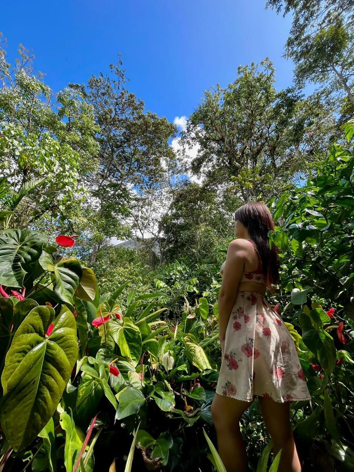 Refugio De Orquideas Villa Oxapampa Luaran gambar