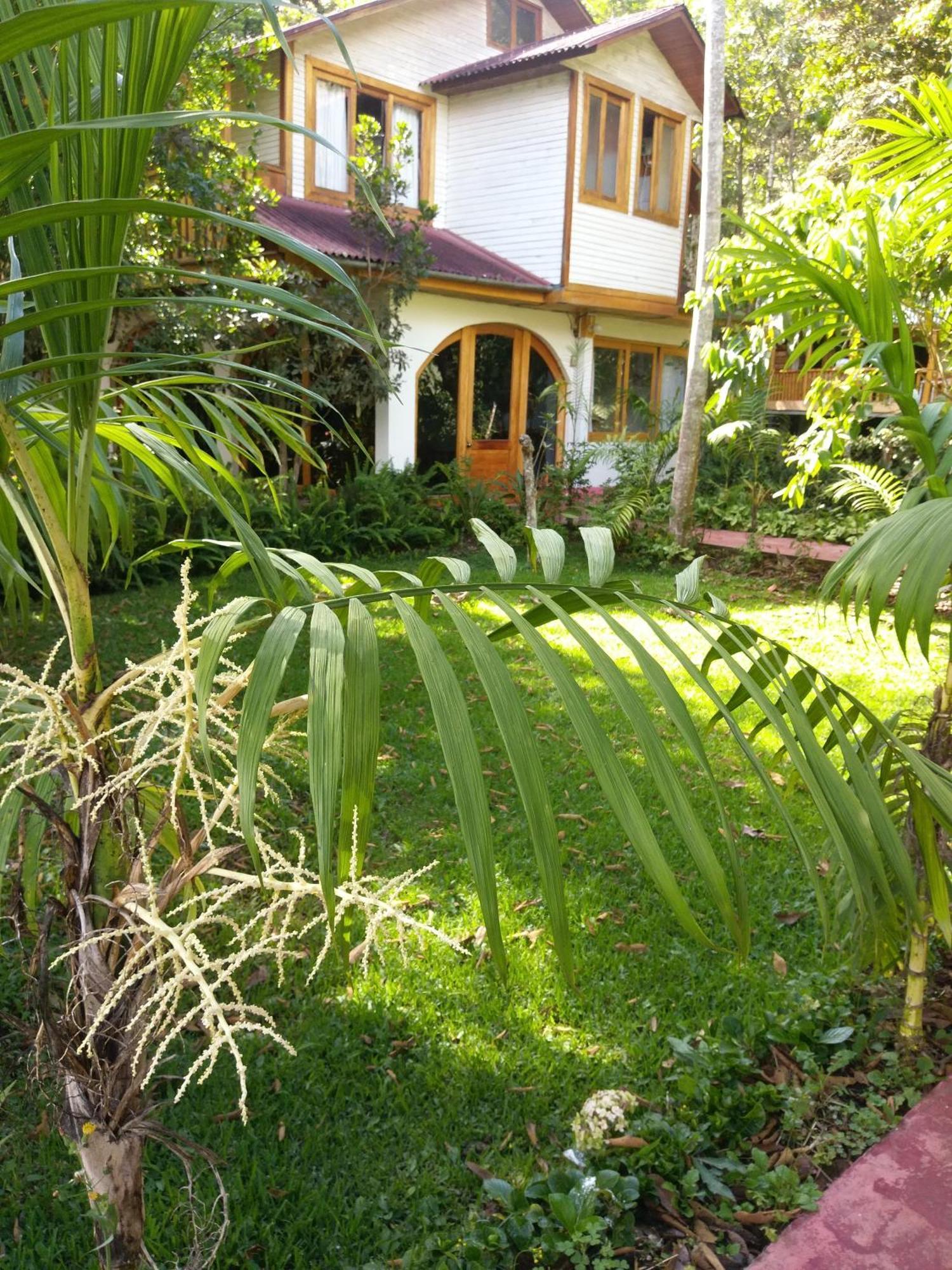 Refugio De Orquideas Villa Oxapampa Luaran gambar