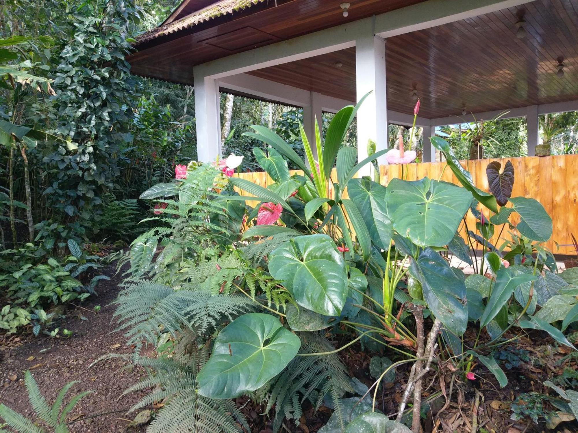 Refugio De Orquideas Villa Oxapampa Luaran gambar