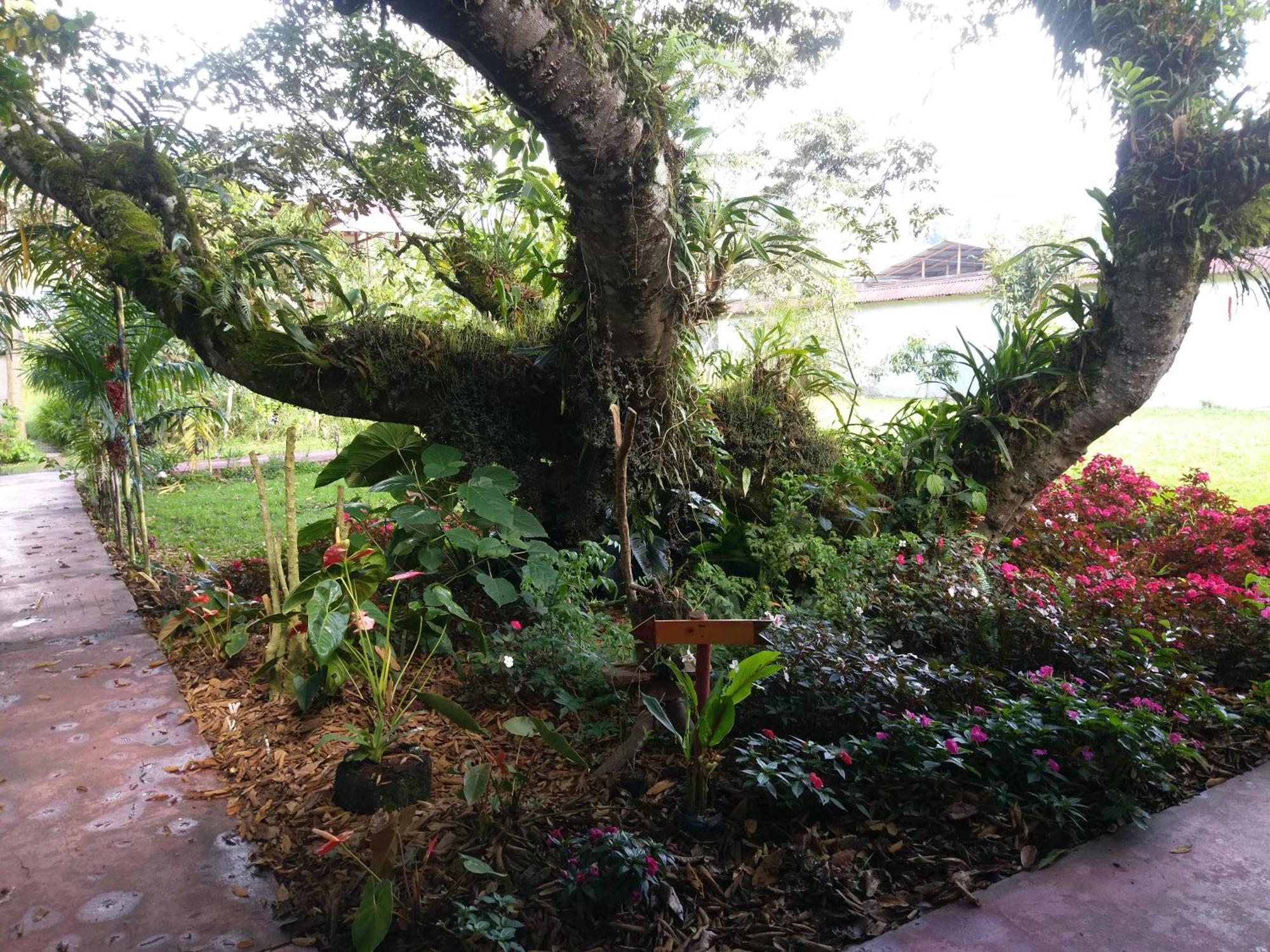 Refugio De Orquideas Villa Oxapampa Luaran gambar