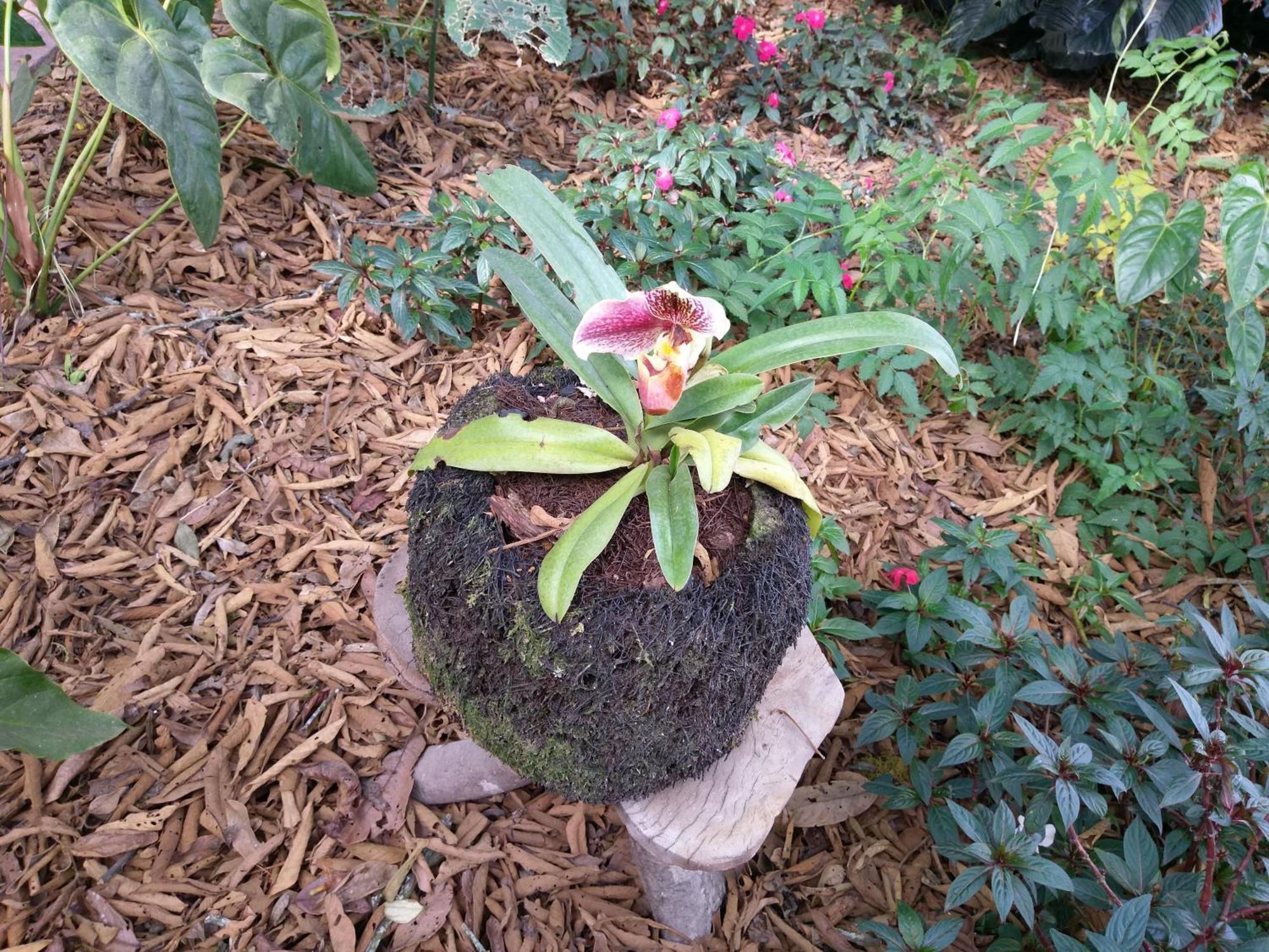 Refugio De Orquideas Villa Oxapampa Luaran gambar