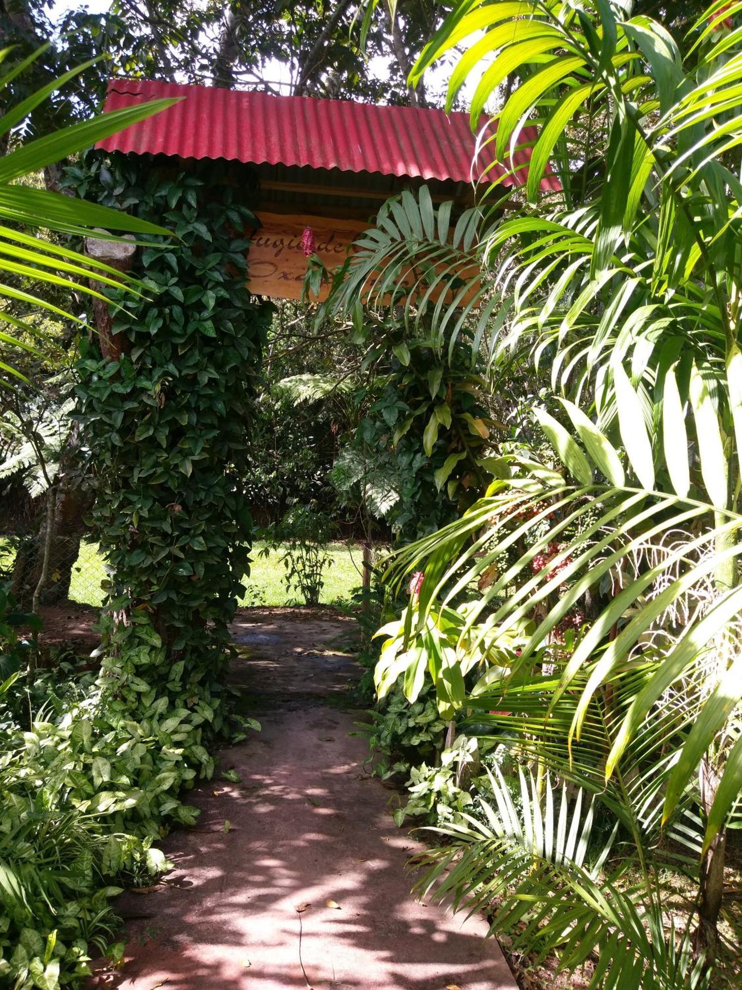 Refugio De Orquideas Villa Oxapampa Luaran gambar
