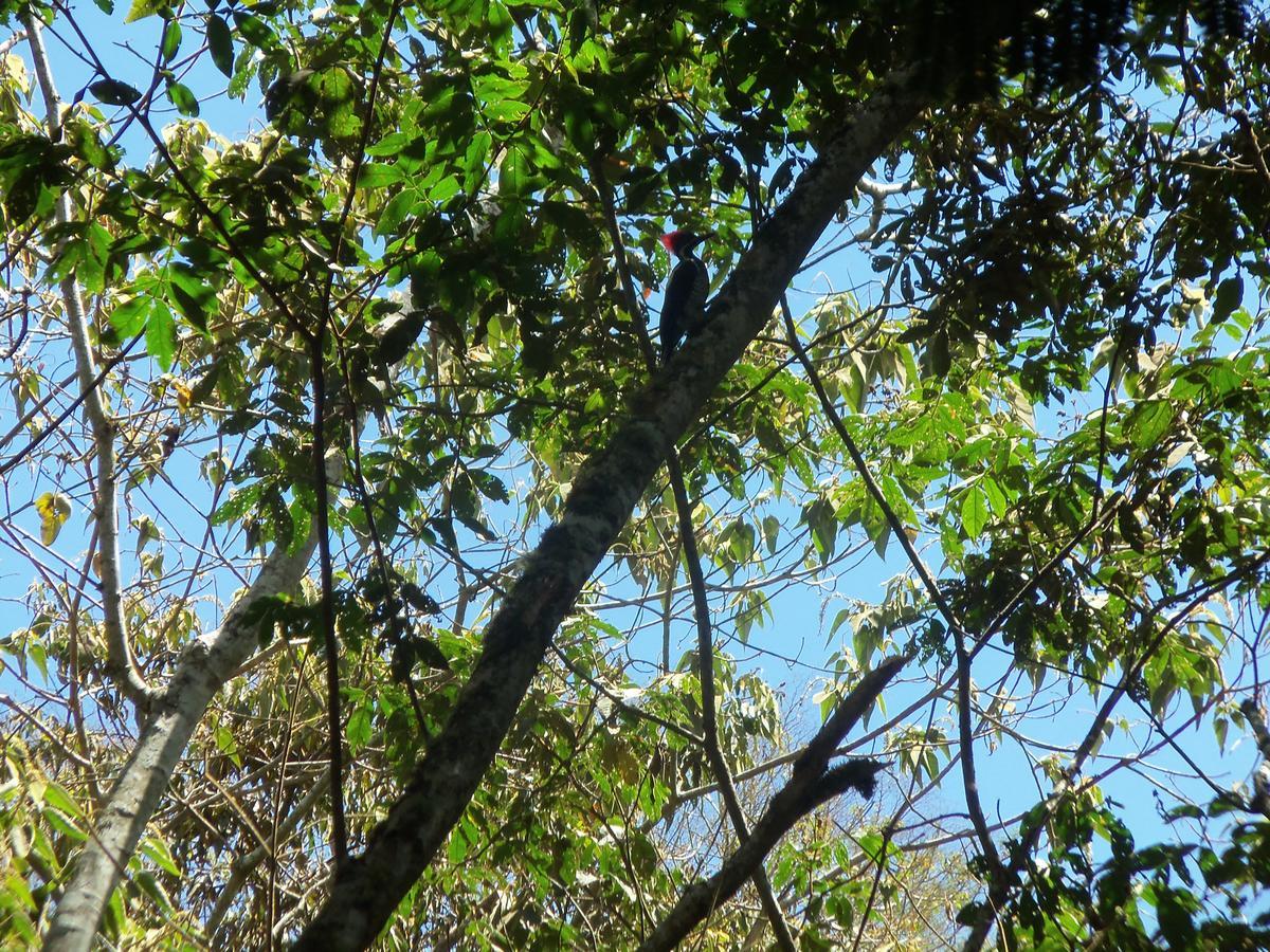 Refugio De Orquideas Villa Oxapampa Luaran gambar