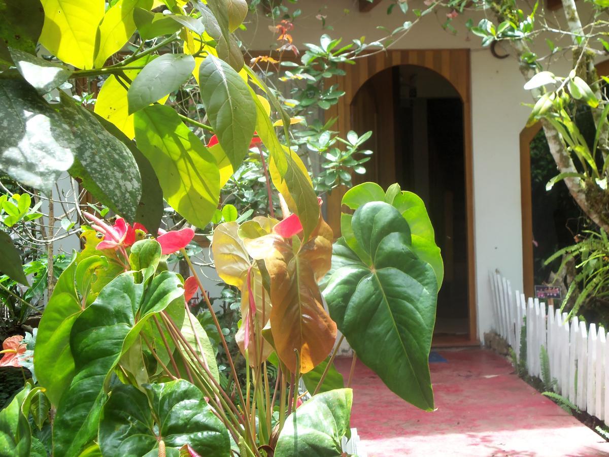 Refugio De Orquideas Villa Oxapampa Luaran gambar