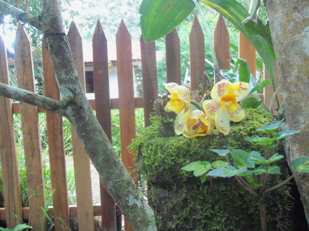 Refugio De Orquideas Villa Oxapampa Luaran gambar